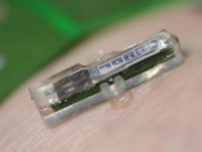 75 fotos que provam como os gatos são (muito) estranhos