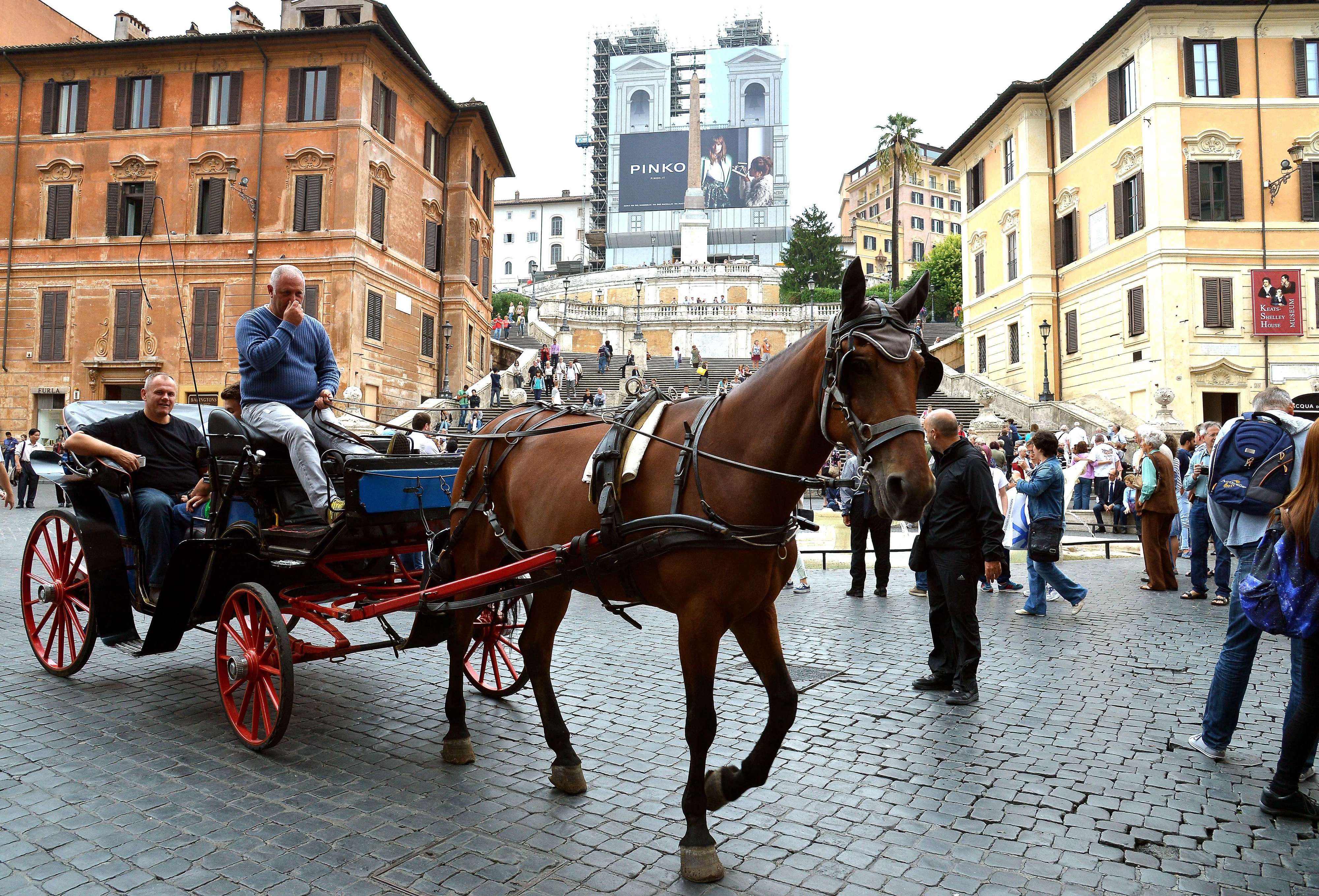 Caiu mais um cavalo nas ruas de Roma. Líderes pressionados a acabar com carruagens puxadas por animais