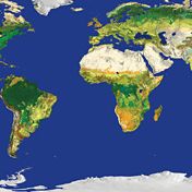 Anorexia nervosa. Descubra se os seus filhos estão a ser vítimas desta doença