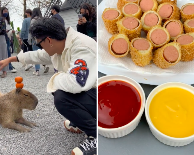 Estes são os 5 vídeos mais virais no Tiktok em 2023. Prepare-se porque vai rir-se muito