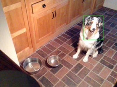 Como usar o iPhone para apanhar ladrões