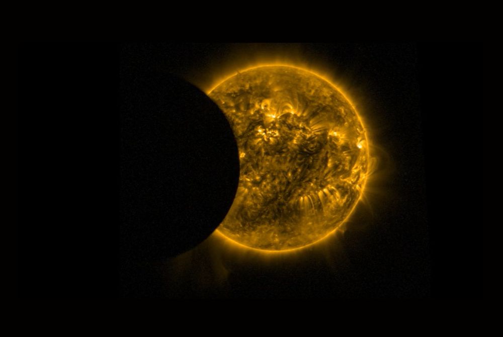 Globos de Ouro são já este domingo. Recorde 17 looks marcantes que passaram pela passadeira vermelha