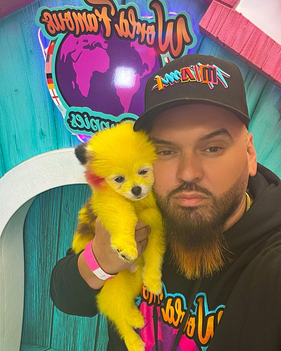 Dono de loja de animais pinta o cão para parecer o Pikachu e é arrasado nas redes sociais