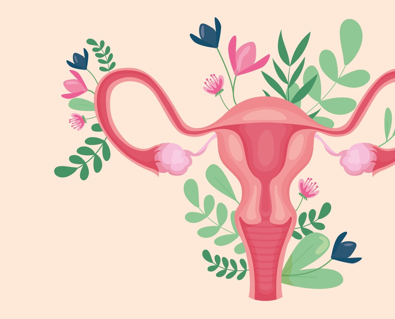 O cancro do endométrio é um dos mais frequentes. Dos sintomas aos fatores de risco, espreite este guia e saiba mais sobre esta doença