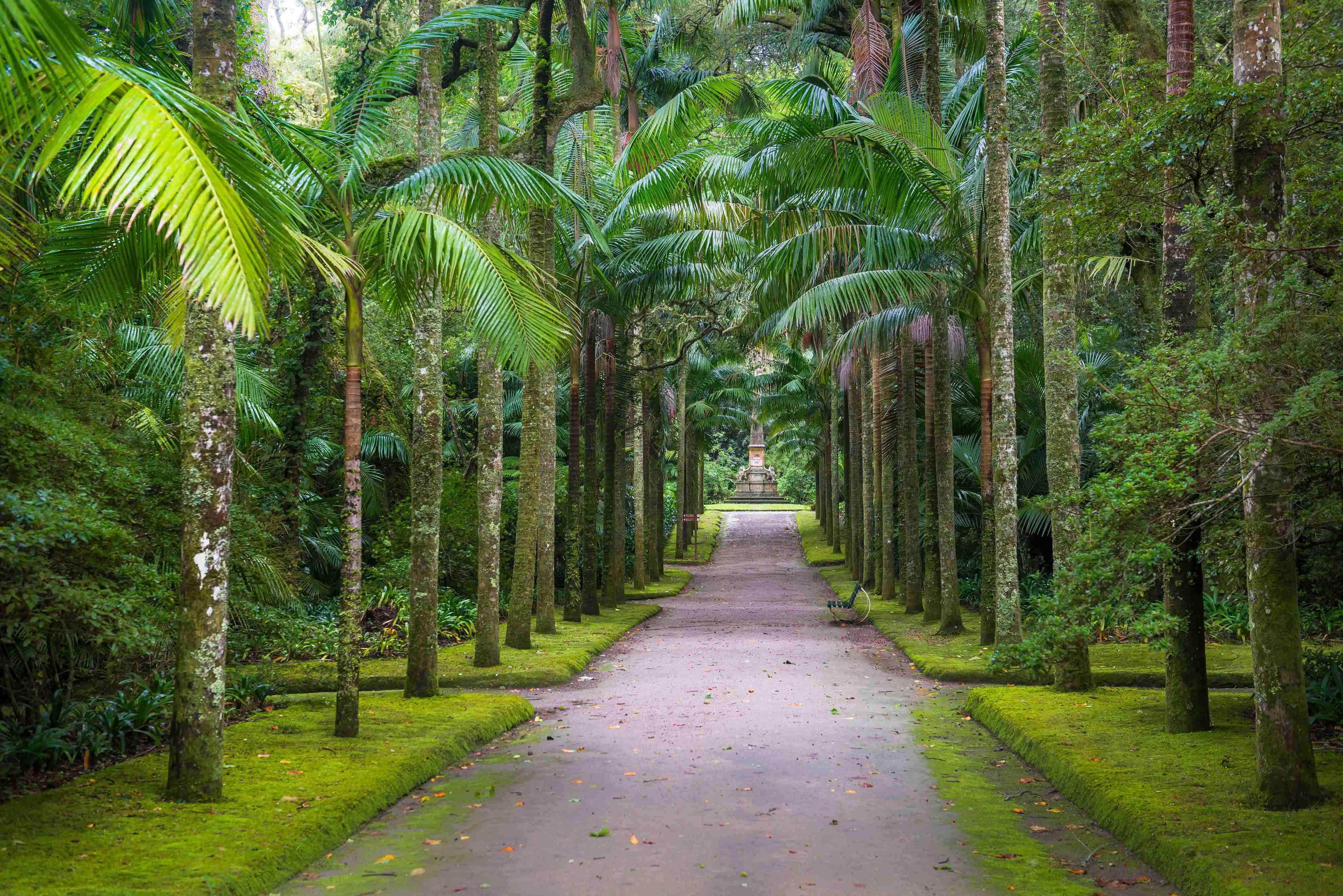 "Respirar" no Parque Terra Nostra. Uma experiência de bem-estar envolta em natureza