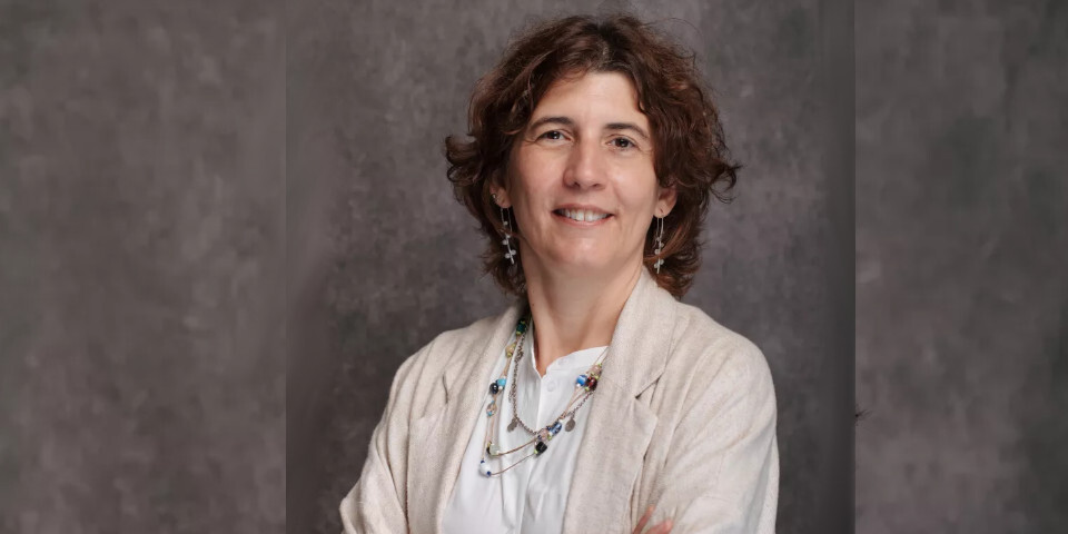 Presidente da Agência Nacional de Inovação demite-se “por falta de condições”