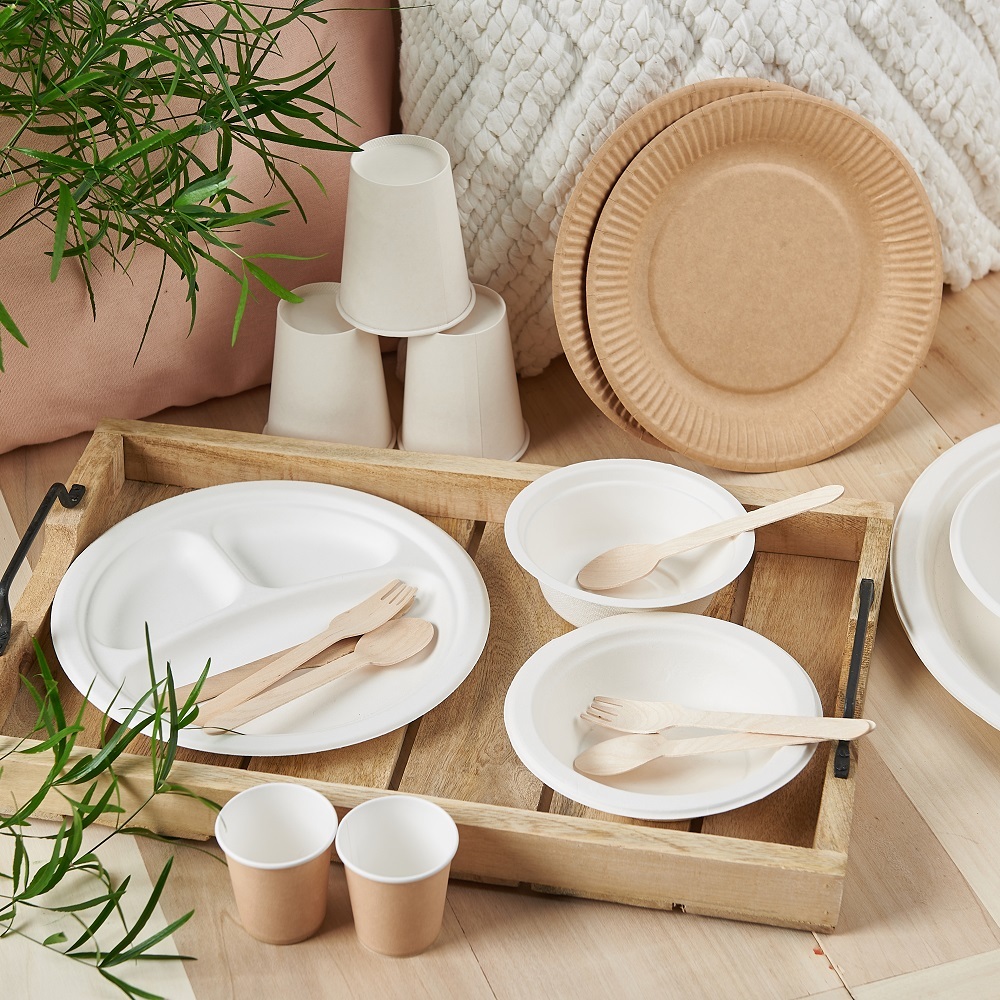 Auchan já não vende copos, pratos e copos de plástico e tem alternativas biodegradáveis reutilizáveis