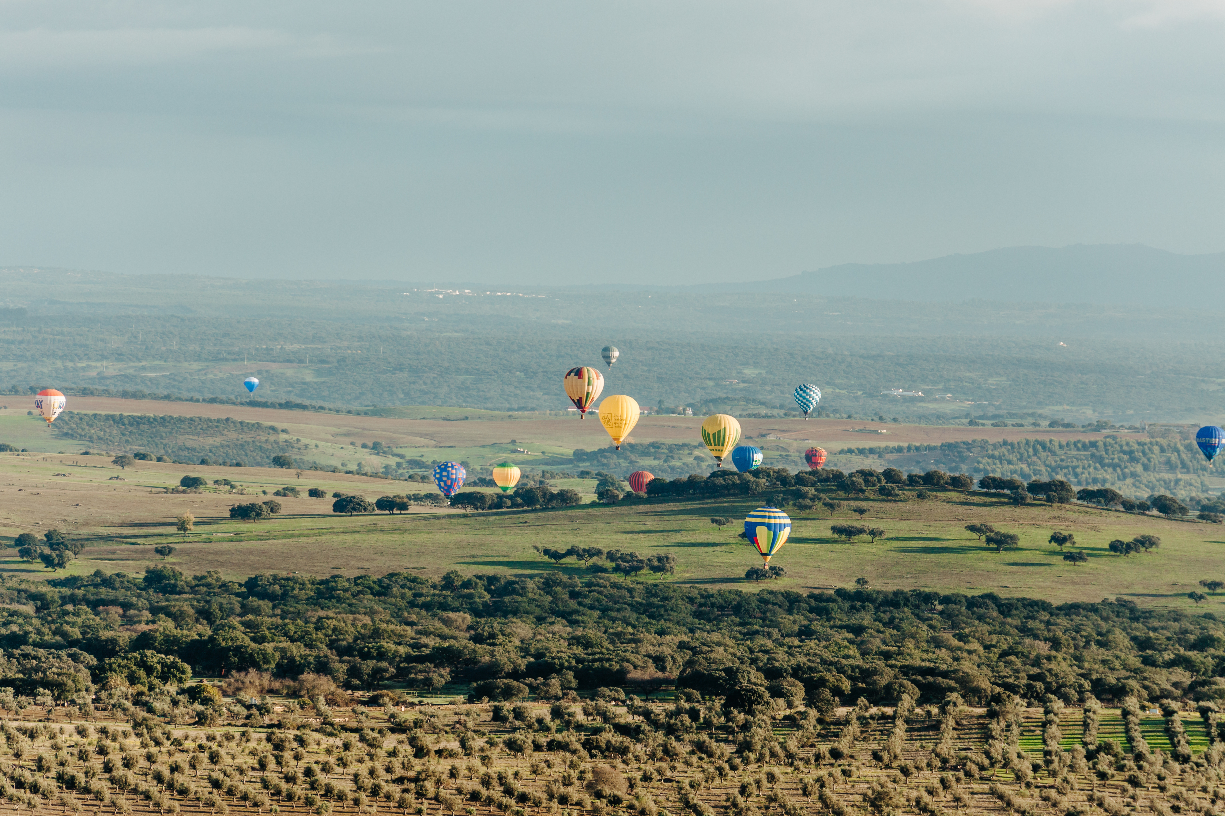 Sempre teve o sonho de andar de balão de ar quente? Vai poder fazê-lo neste festival no Alentejo