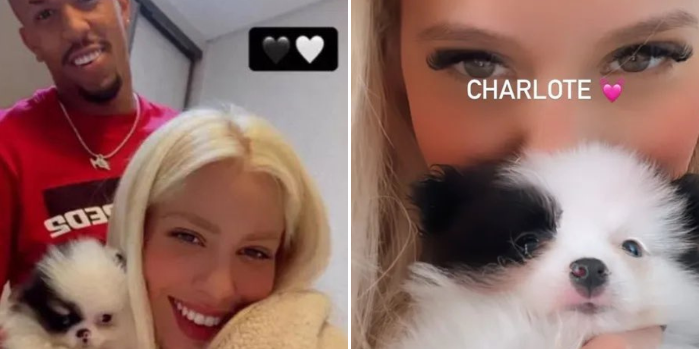 Ex-jogador do FC Porto dá cão à namorada. Problema: patudo é igual ao que deu à ex