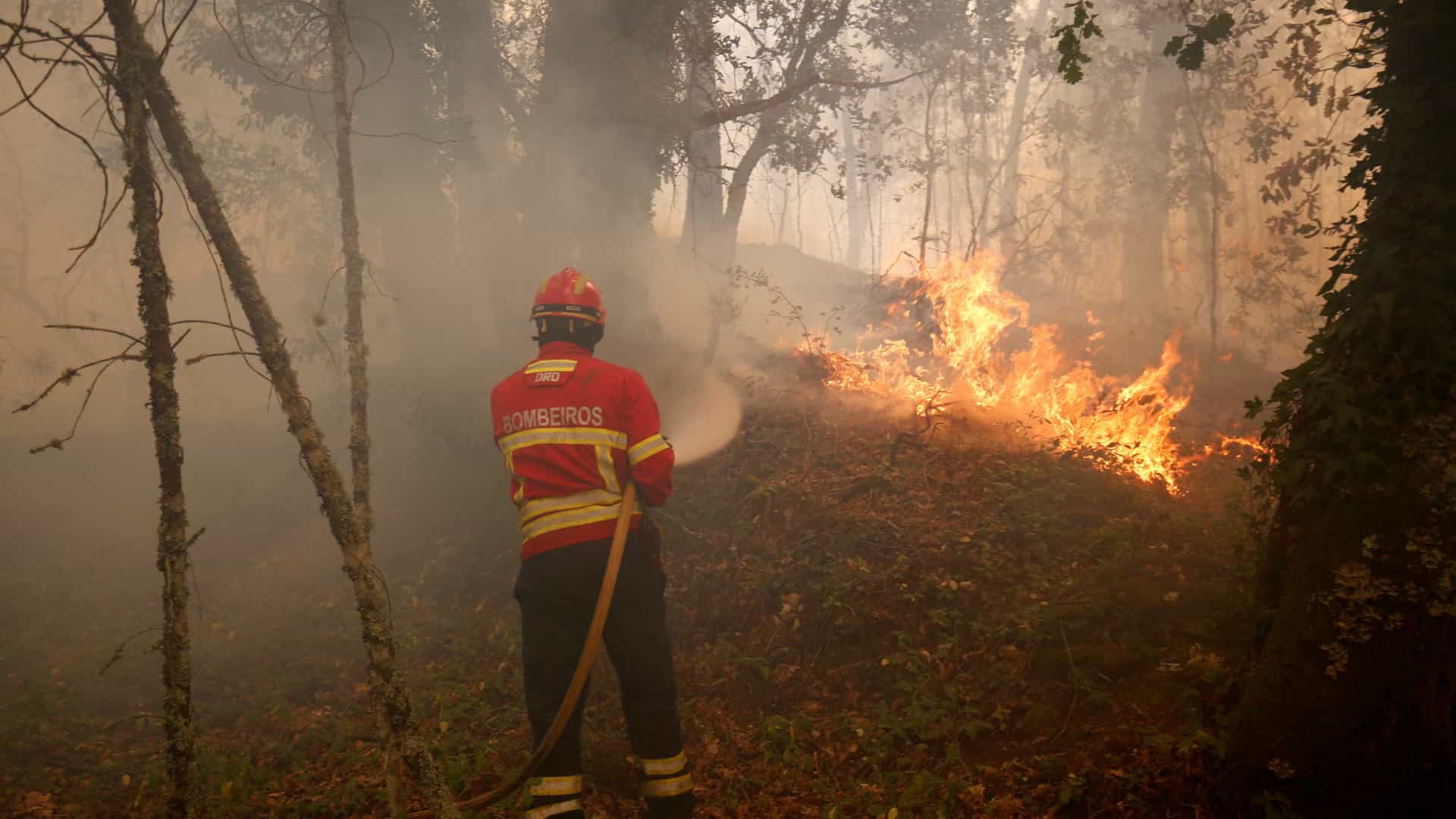Castro Marim. Incêndio chegou aos concelhos de Tavira e Vila Real de Santo António