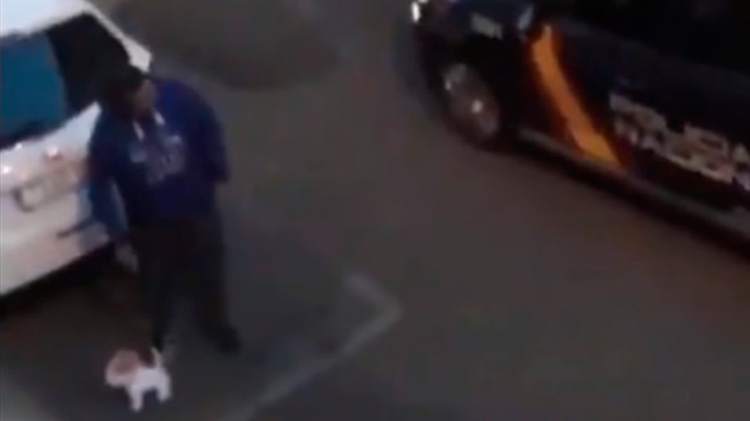 Homem finge passear um cão de peluche para andar na rua mas é apanhado pela polícia. Veja o vídeo