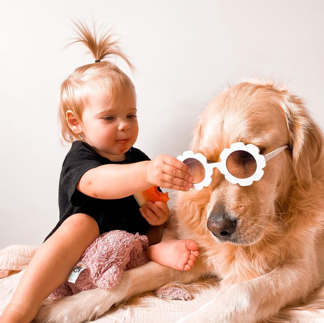 Este Golden Retriever acolheu a nova bebé da família como uma irmã. Estas 28 fotos mostram o amor do cão pela criança