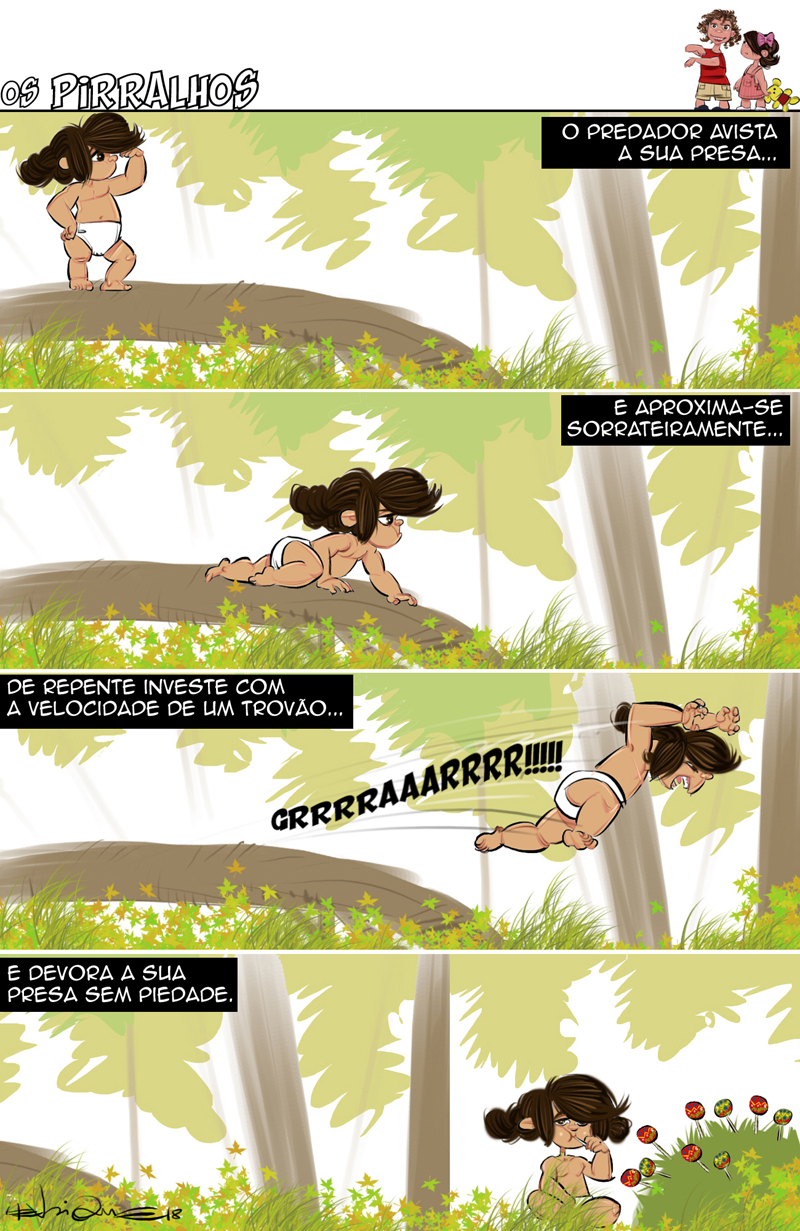 Um dia na selva