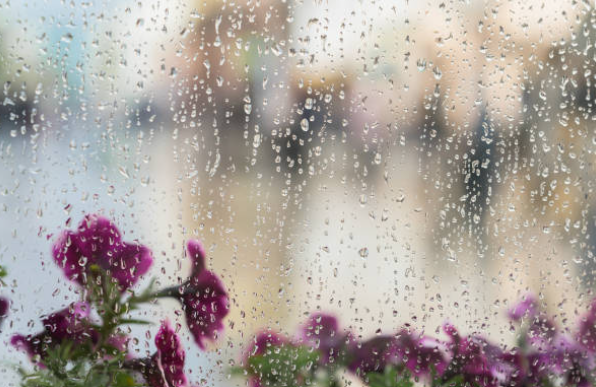Páscoa molhada. Fim de semana prolongado conta com chuva e descida de temperaturas