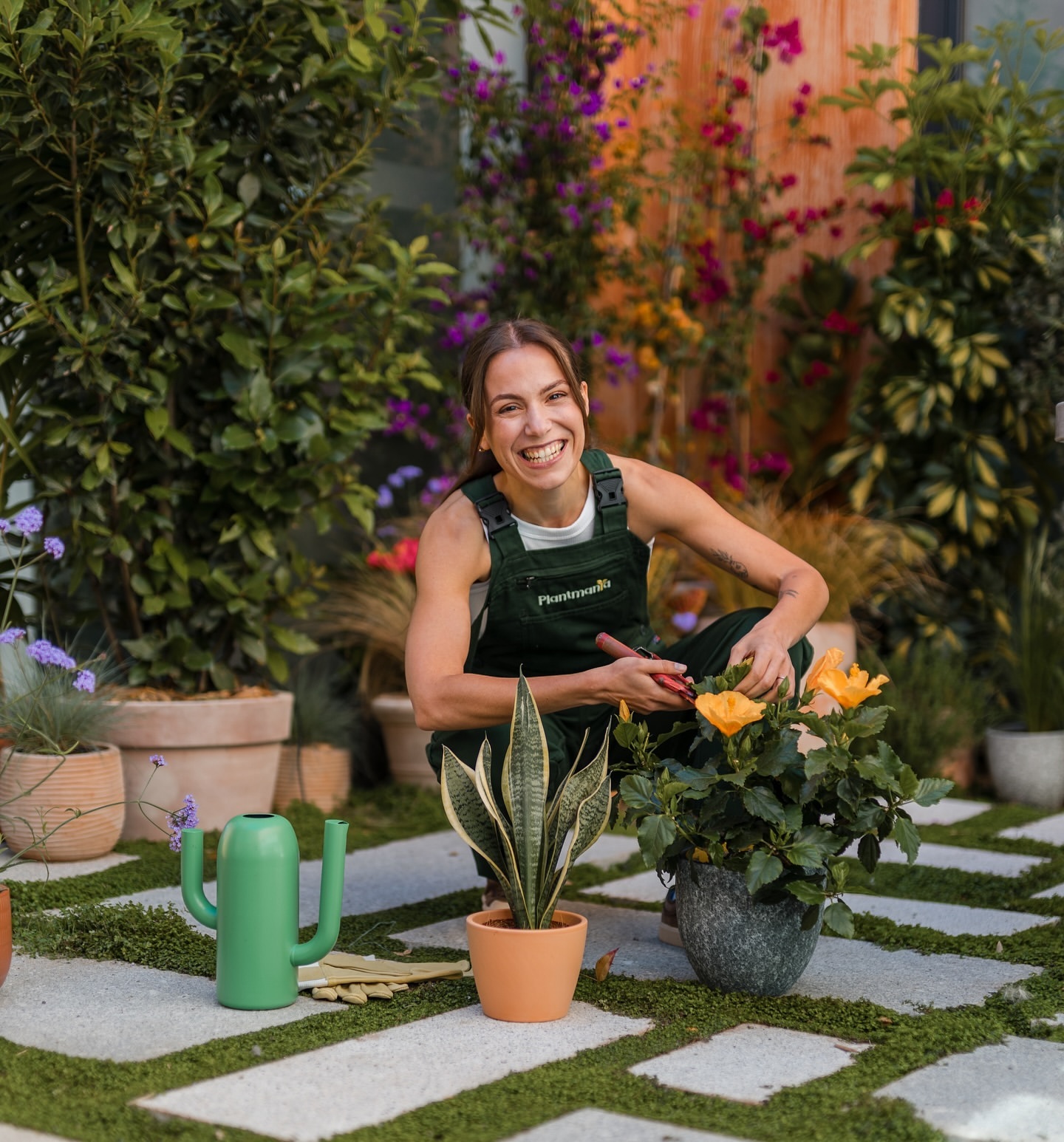 Como manter as plantas saudáveis? Espreite as dicas preciosas e certeiras da Tripeirinha
