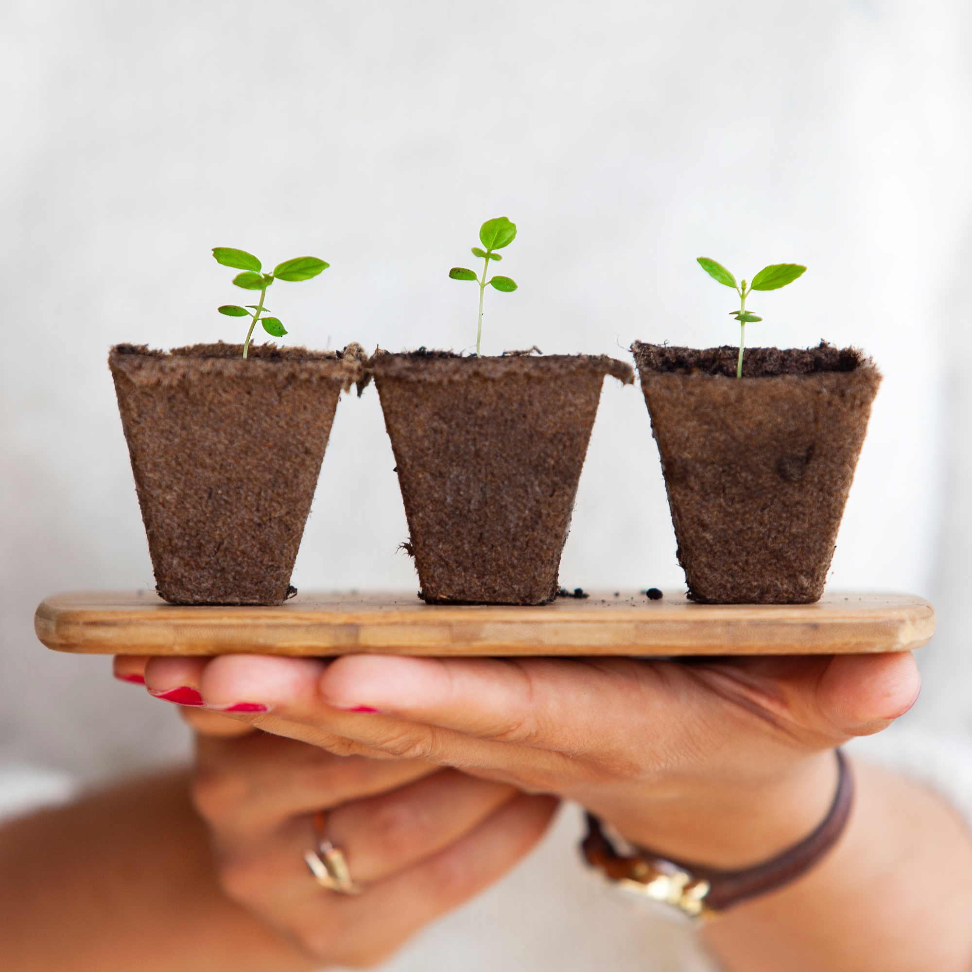 21 truques improváveis para cuidar das suas plantas