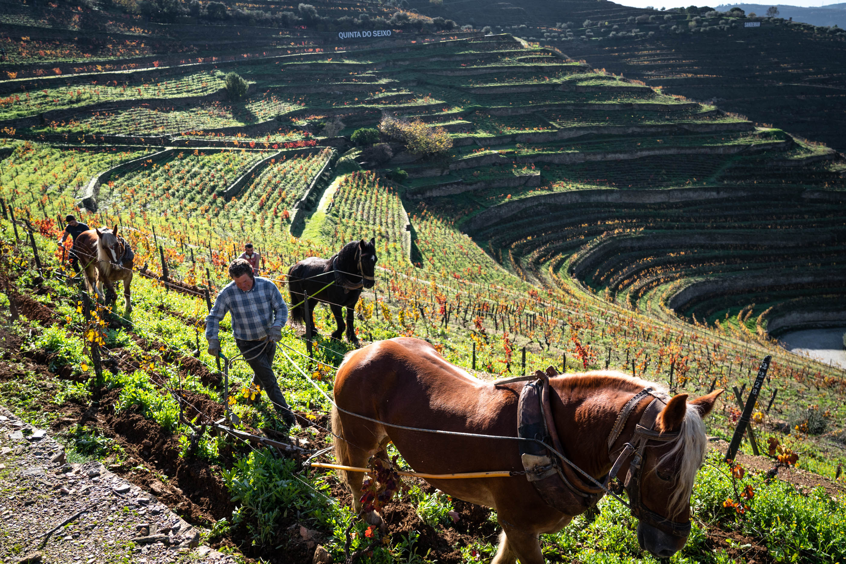Prémios Best Of Wine Tourism 2027 com candidaturas abertas para projetos de enoturismo