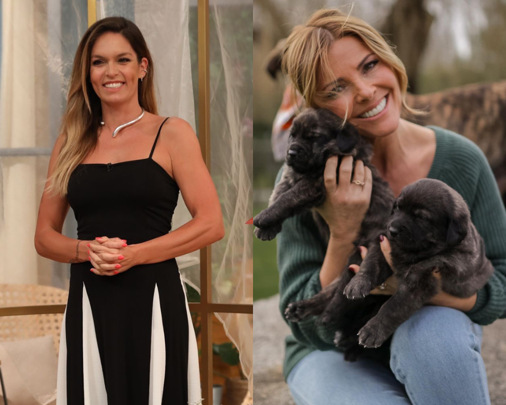 Sónia Araújo e Diana Chaves deixam agência Glam depois de dívidas superiores a 300 mil euros