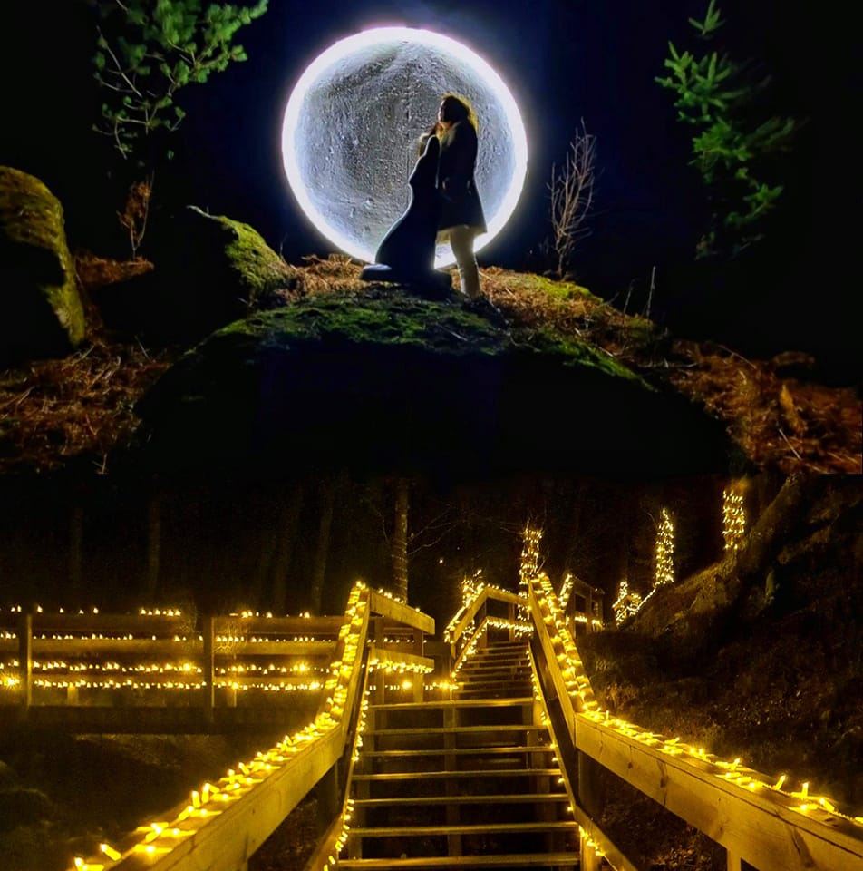 Floresta Encantada está de volta este Natal (e ainda melhor). Veja as fotos deslumbrantes