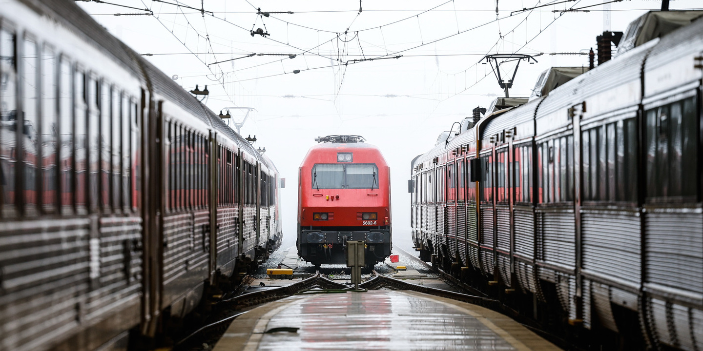 Circulação ferroviária suspensa na Linha do Sul em Grândola devido a queda de árvore