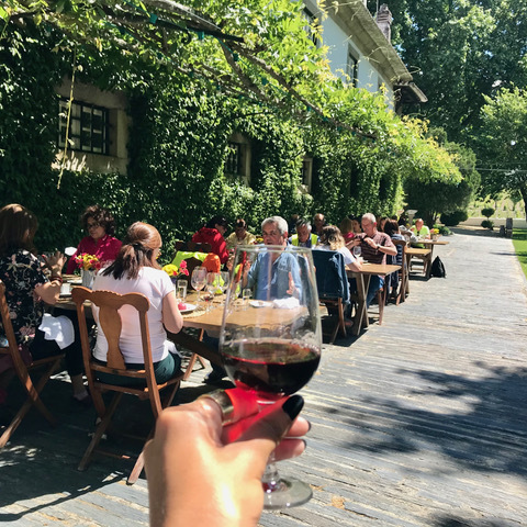 Este mês, os caminhos trilhados no Douro Vinhateiro vão dar aos vinhos da Quinta da Pacheca