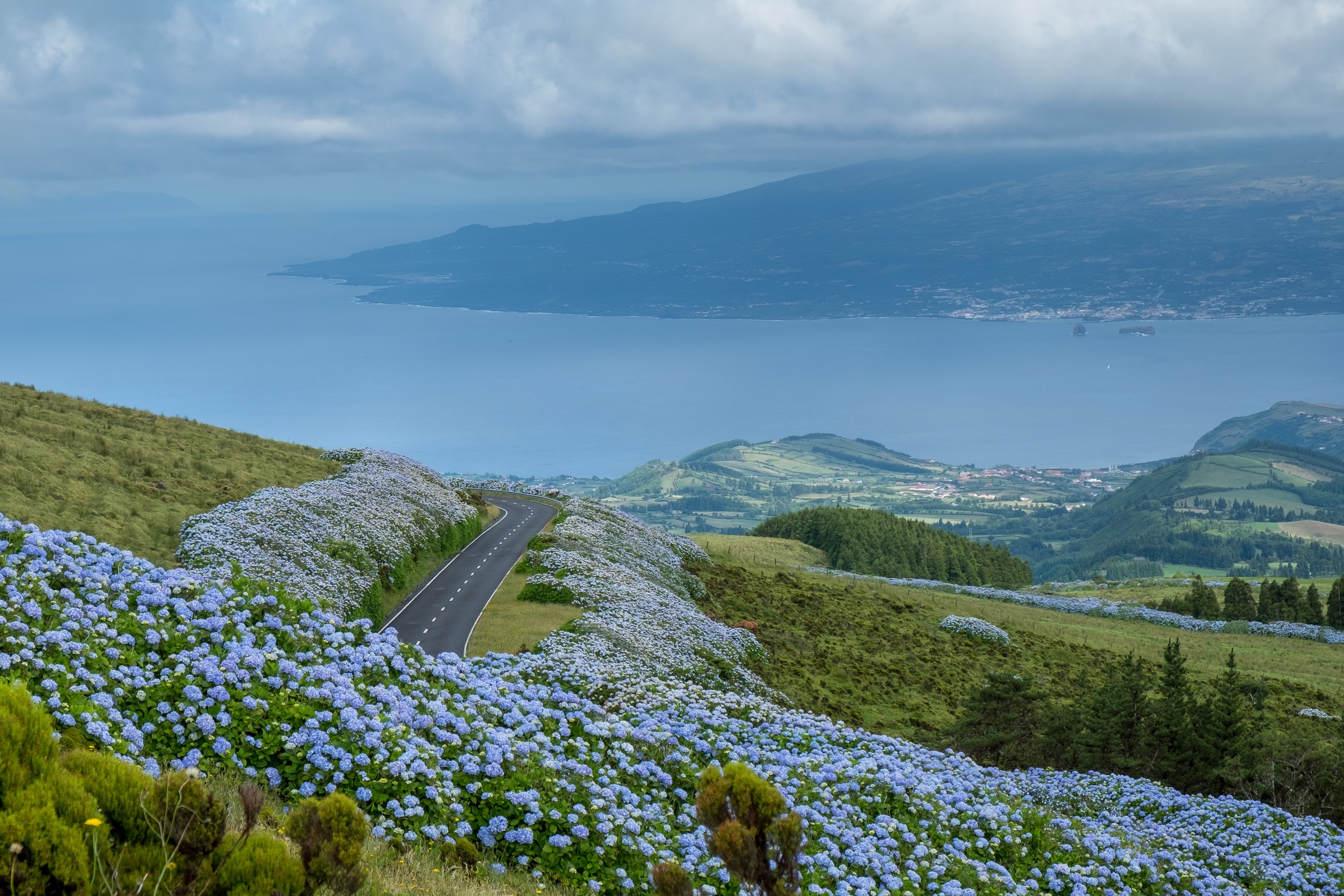 Do chá às hortênsias: 10 das melhores coisas para fazer nos Açores, segundo  o The Guardian - Portugal - SAPO Viagens