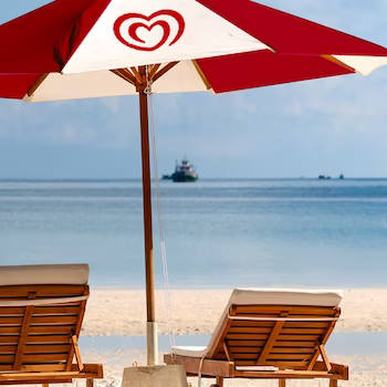 Cornetto de brigadeiro ou gelado de limão e framboesa. Estas novidades da Olá vão deixar todos a salivar