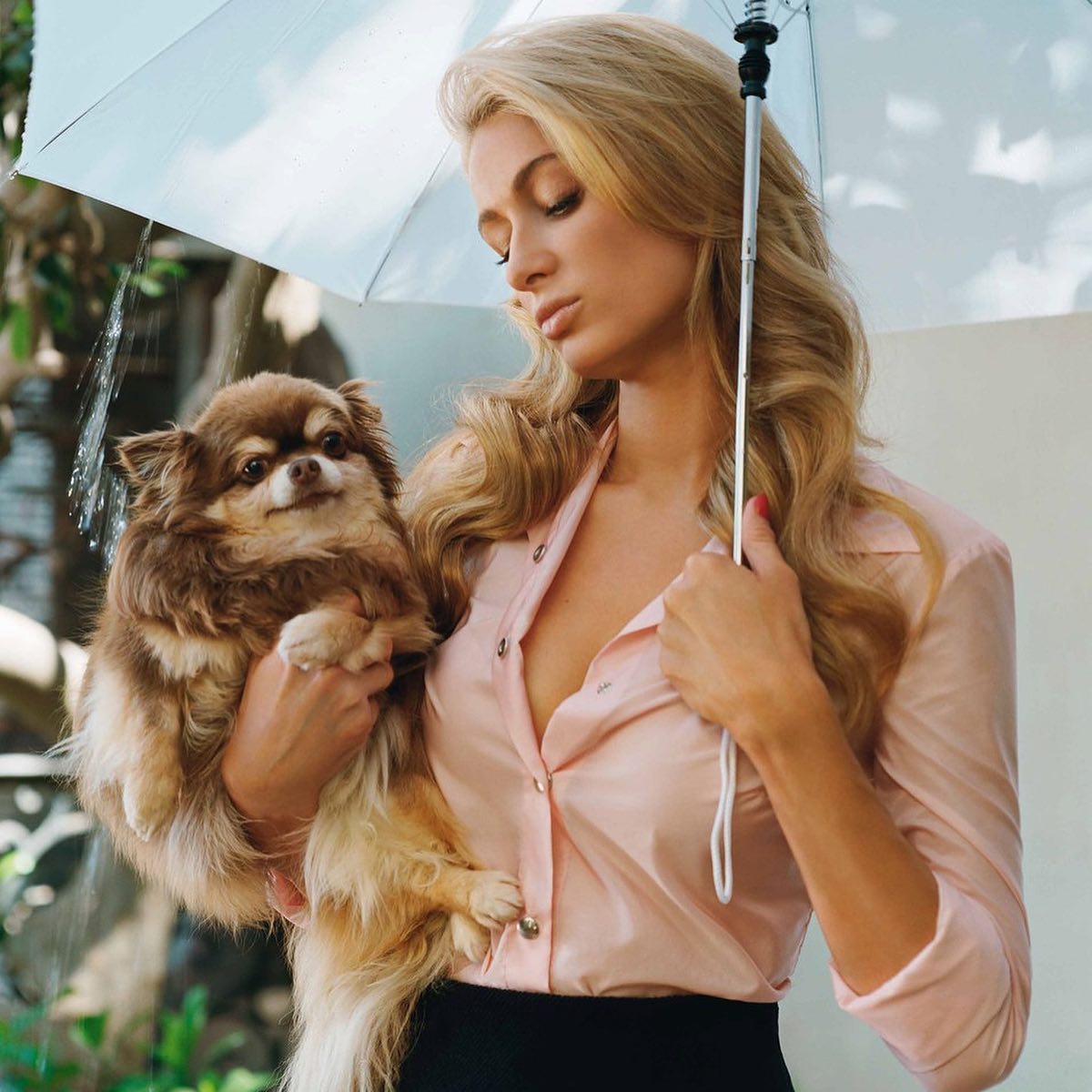 Chihuahua de Paris Hilton morreu aos 23 anos. “Ela era família para mim”