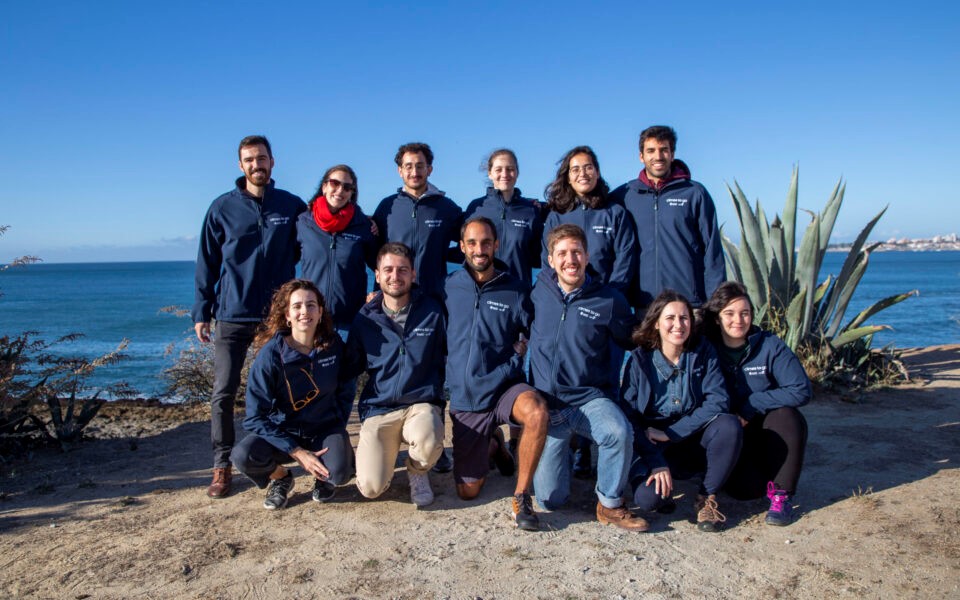 Das técnicas de relaxamento à alimentação ideal. Este mês há workshops online gratuitos sobre animais