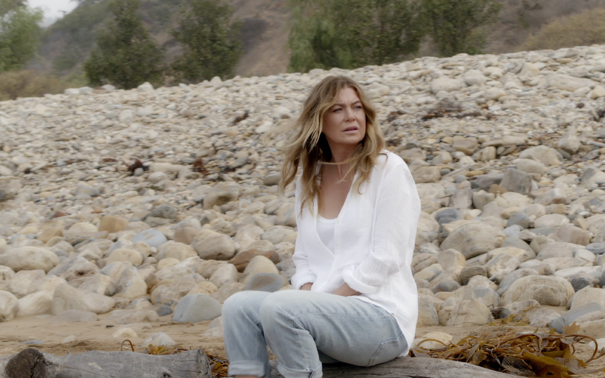 Dos casamentos ao regresso de Meredith à praia. Como foi o final de “Anatomia de Grey”