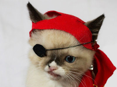 L’Oréal Paris lança coleção de maquilhagem inspirada nas criações de Karl Lagerfeld