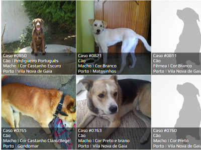 Fazer maratonas de séries aumenta em 50% a probabilidade de morrer mais cedo