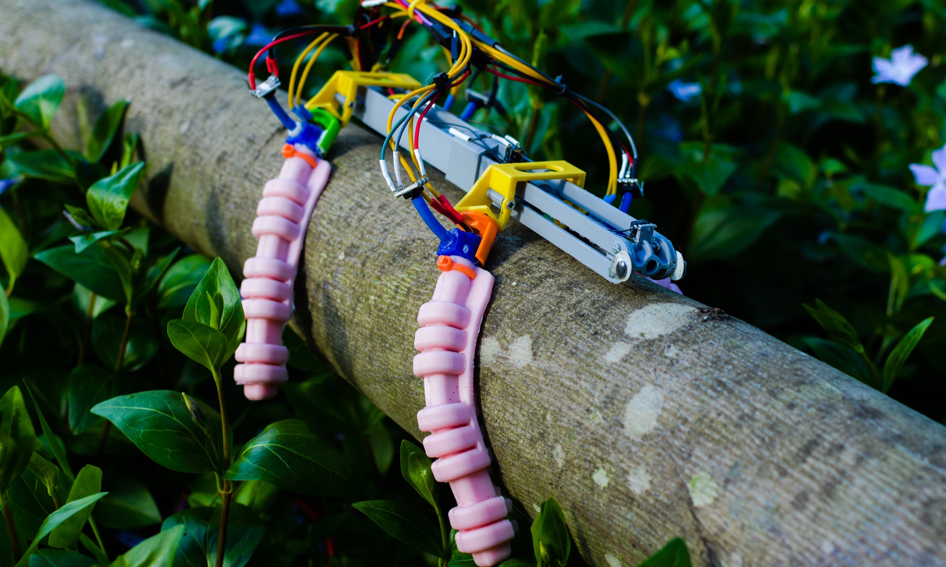 Investigadores em Coimbra criam músculos artificiais que usam o “poder” da água para dar vida a robots