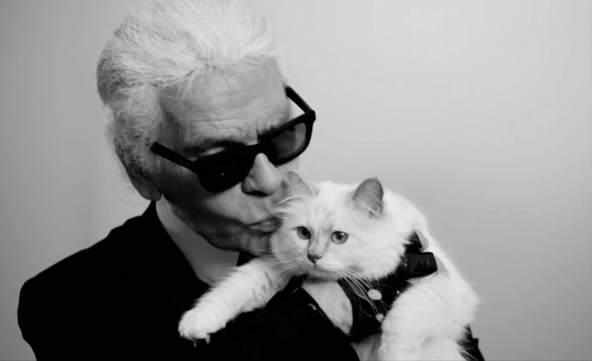 Quem é Choupette, a gata milionária de Karl Lagerfeld?