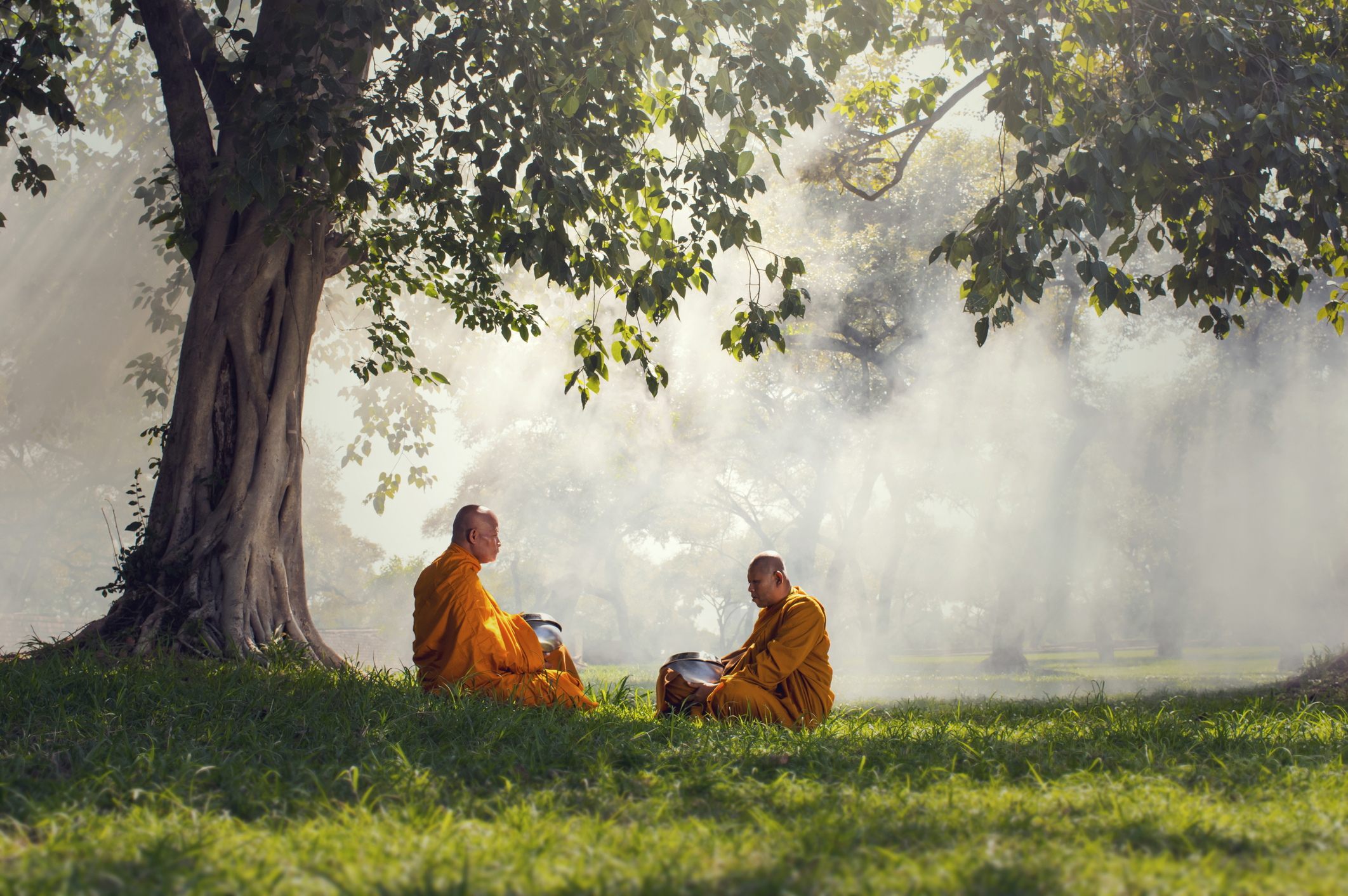 Помощник духовного лица на востоке 4. Буддист монах будха. Монах медитирует. Буддизм природа. Буддист на природе.