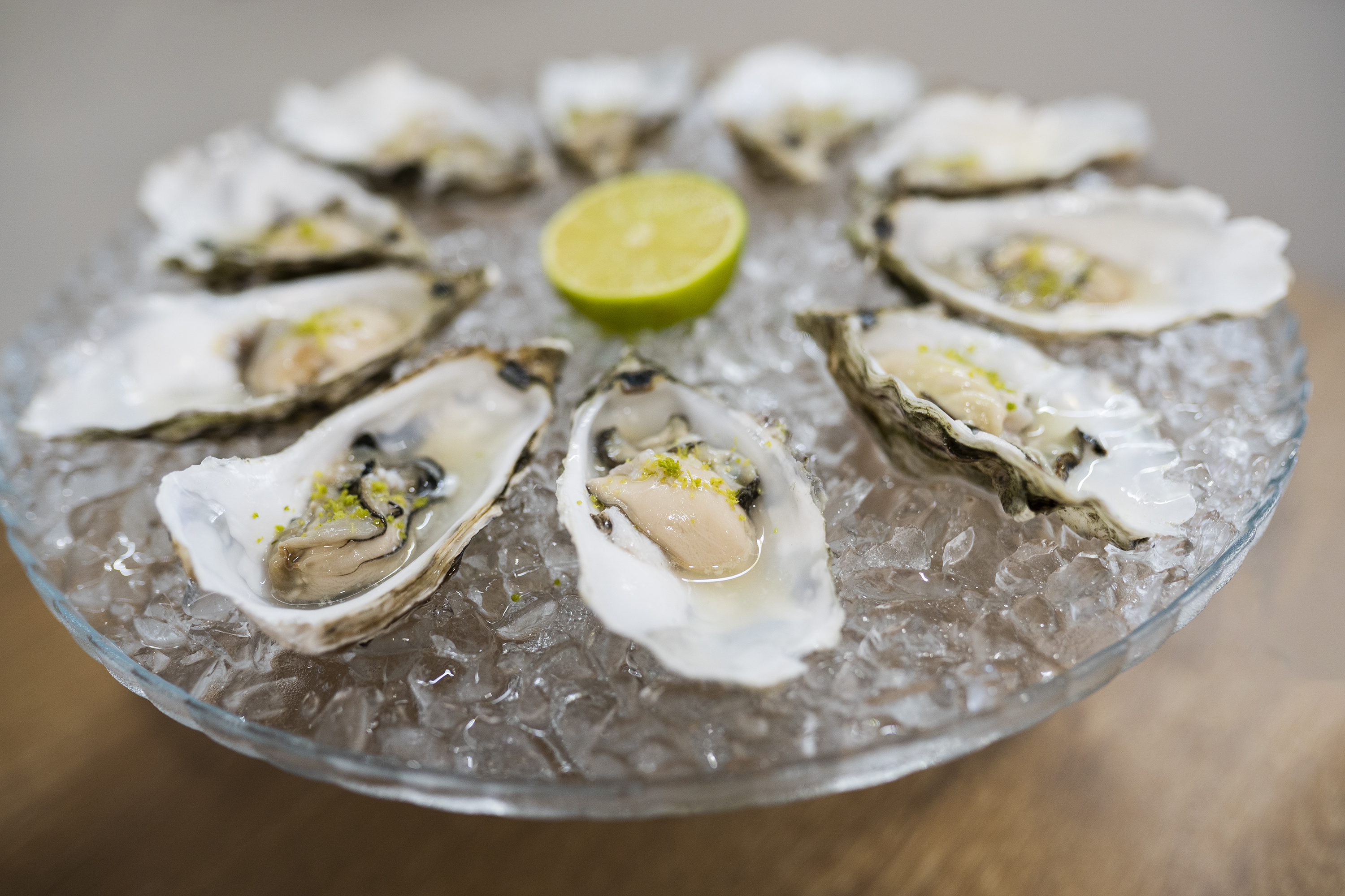 Com vodka, ovas de salmão ou gratinadas. O paraíso dos loucos por ostras chegou a Lisboa