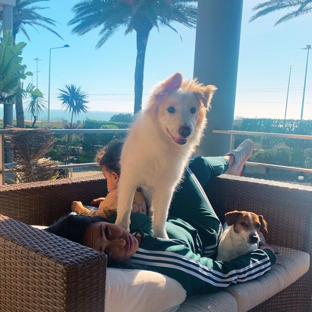 Just 4 Buddies. Conheça a famosa creche dos cães da Rita Pereira