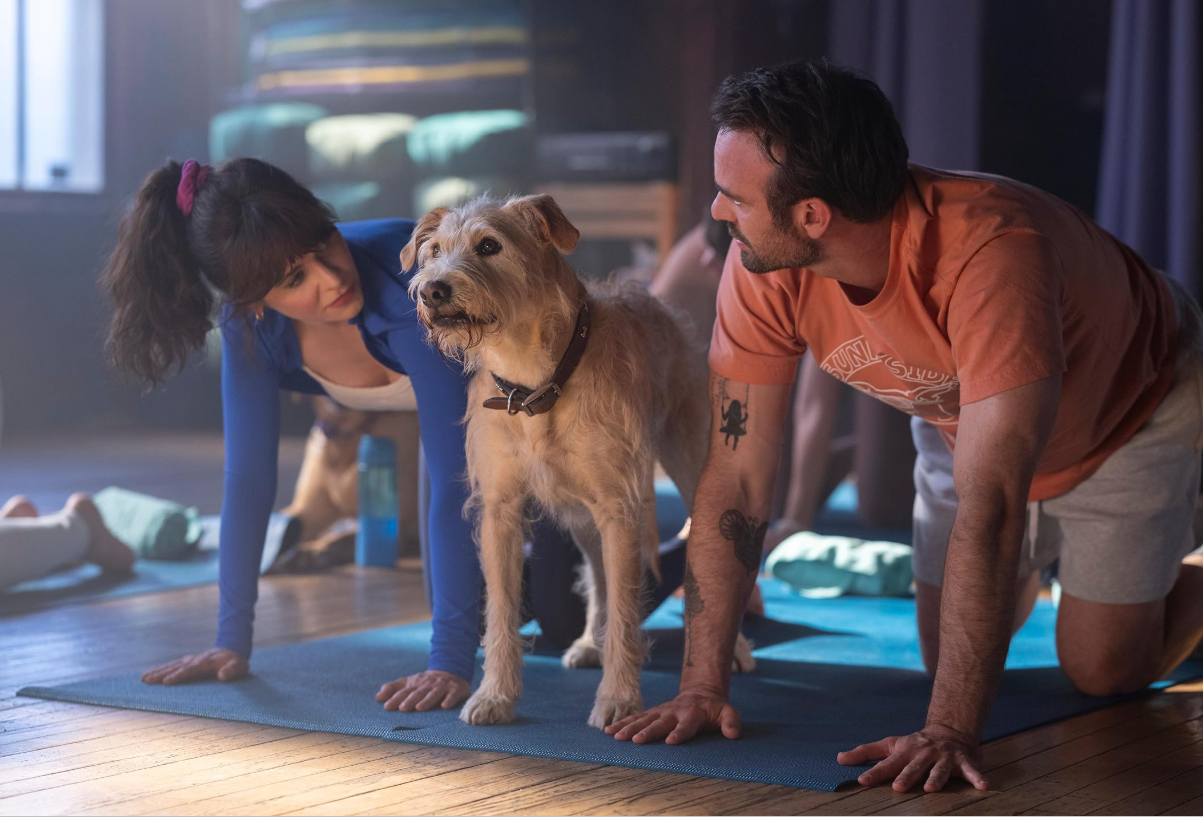 “Merv”. O novo filme da Prime Video que está a conquistar os fãs de comédias românticas (e o cão é protagonista)