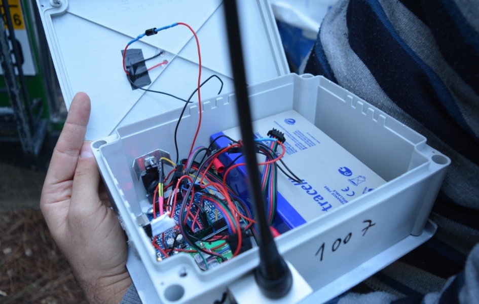 Há quem “alugue” animais para poder sair à rua e quem ande de trela sem cão