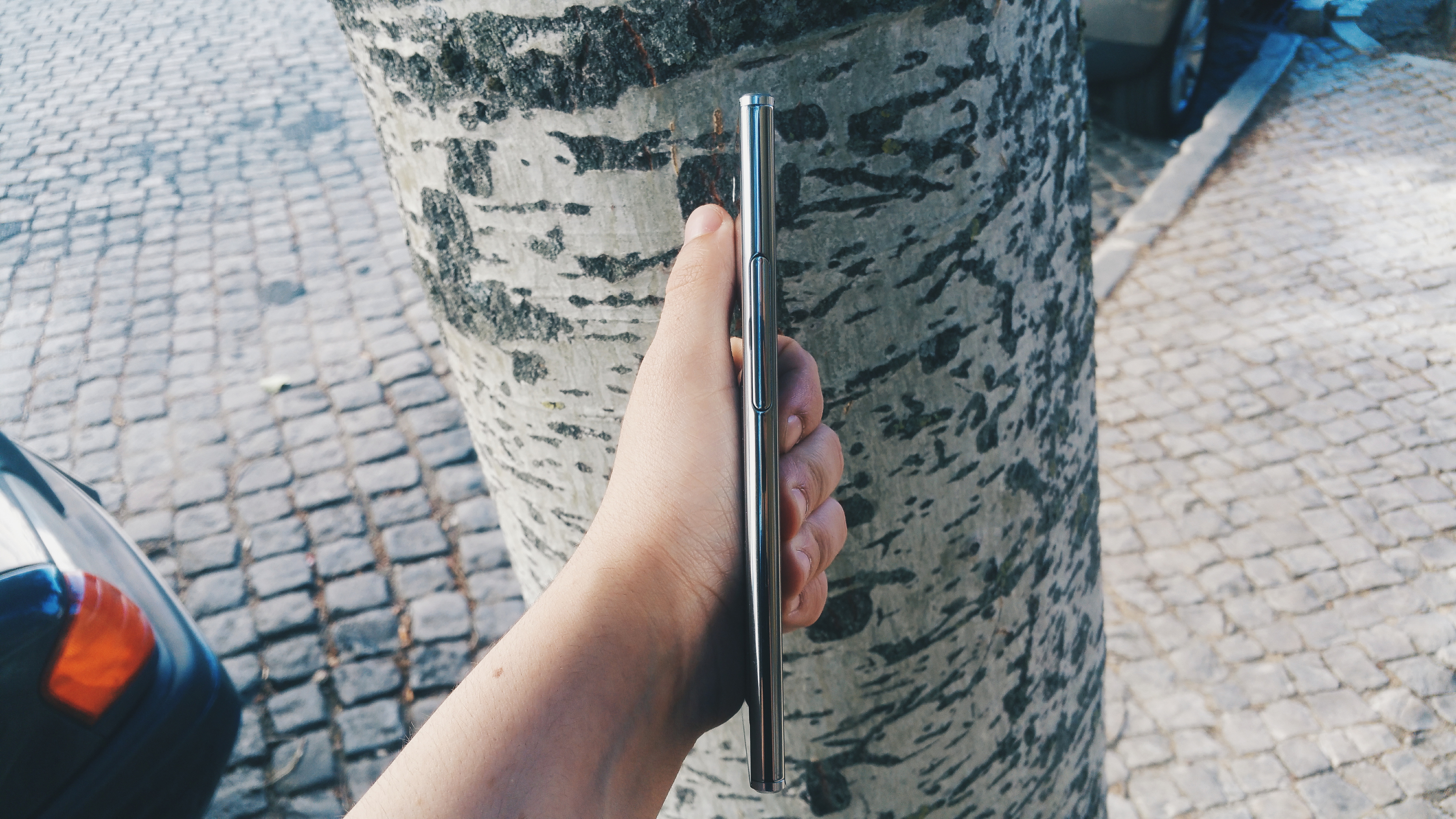 É possível comer carne e peixe de forma sustentável — e nós dizemos-lhe como