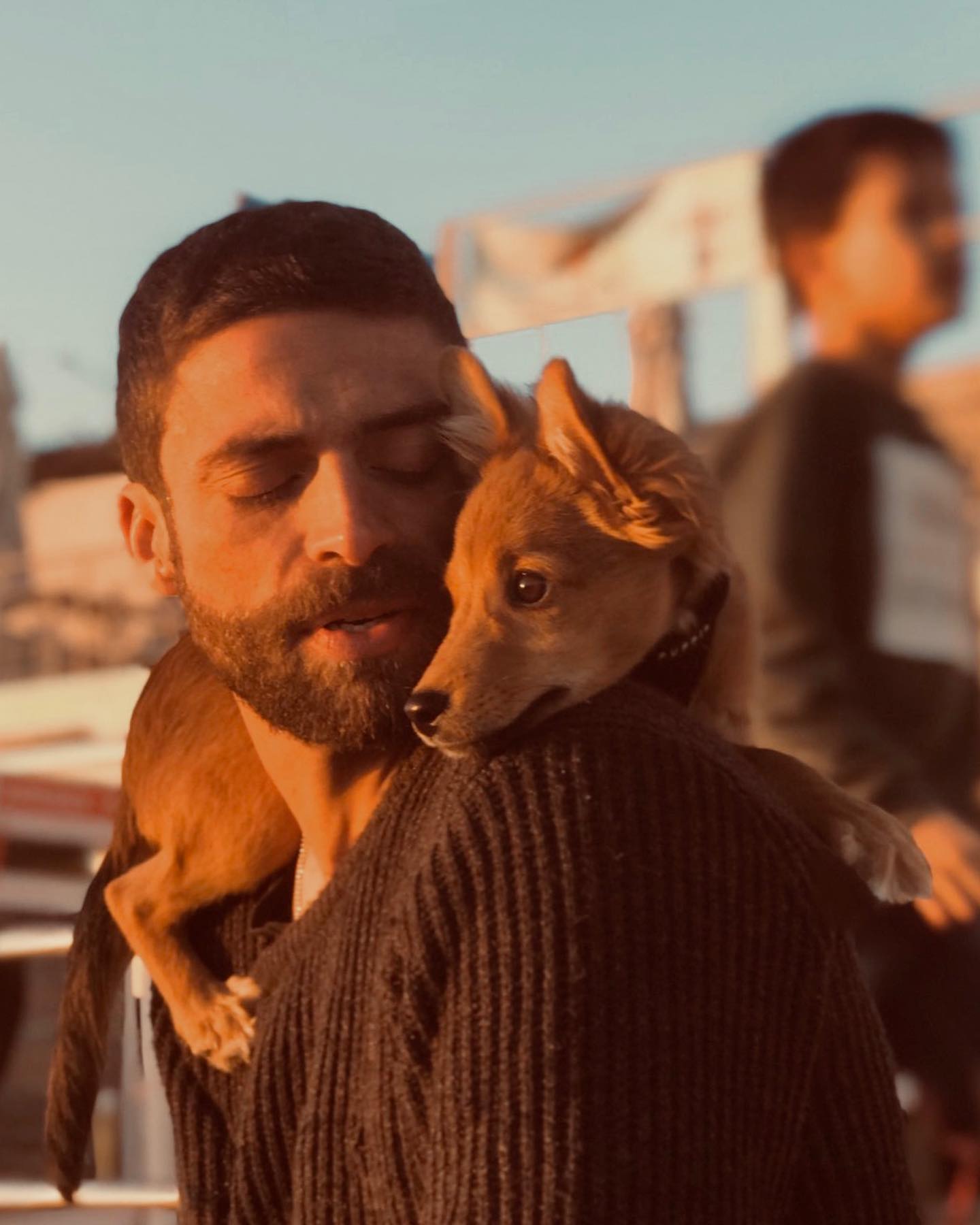 Cão de Diogo Amaral é violentamente pontapeado e fica com pata partida. “O que se passa com as pessoas?”