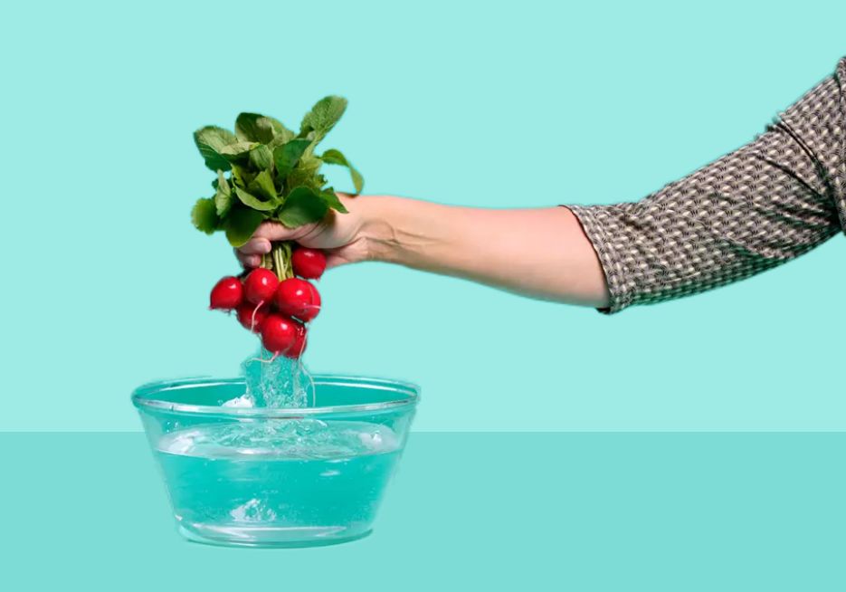 A segurança alimentar é uma ciência e há uma campanha europeia a dar conselhos online