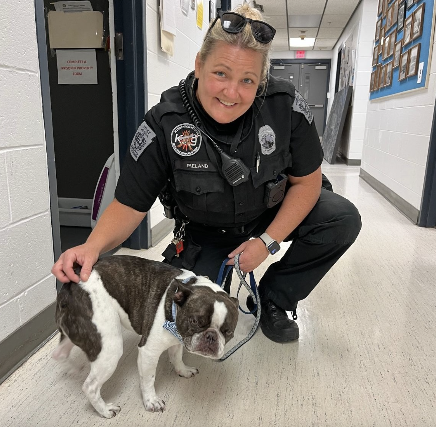 Mulher abandona o cão no aeroporto por ter sido impedida de viajar com o animal