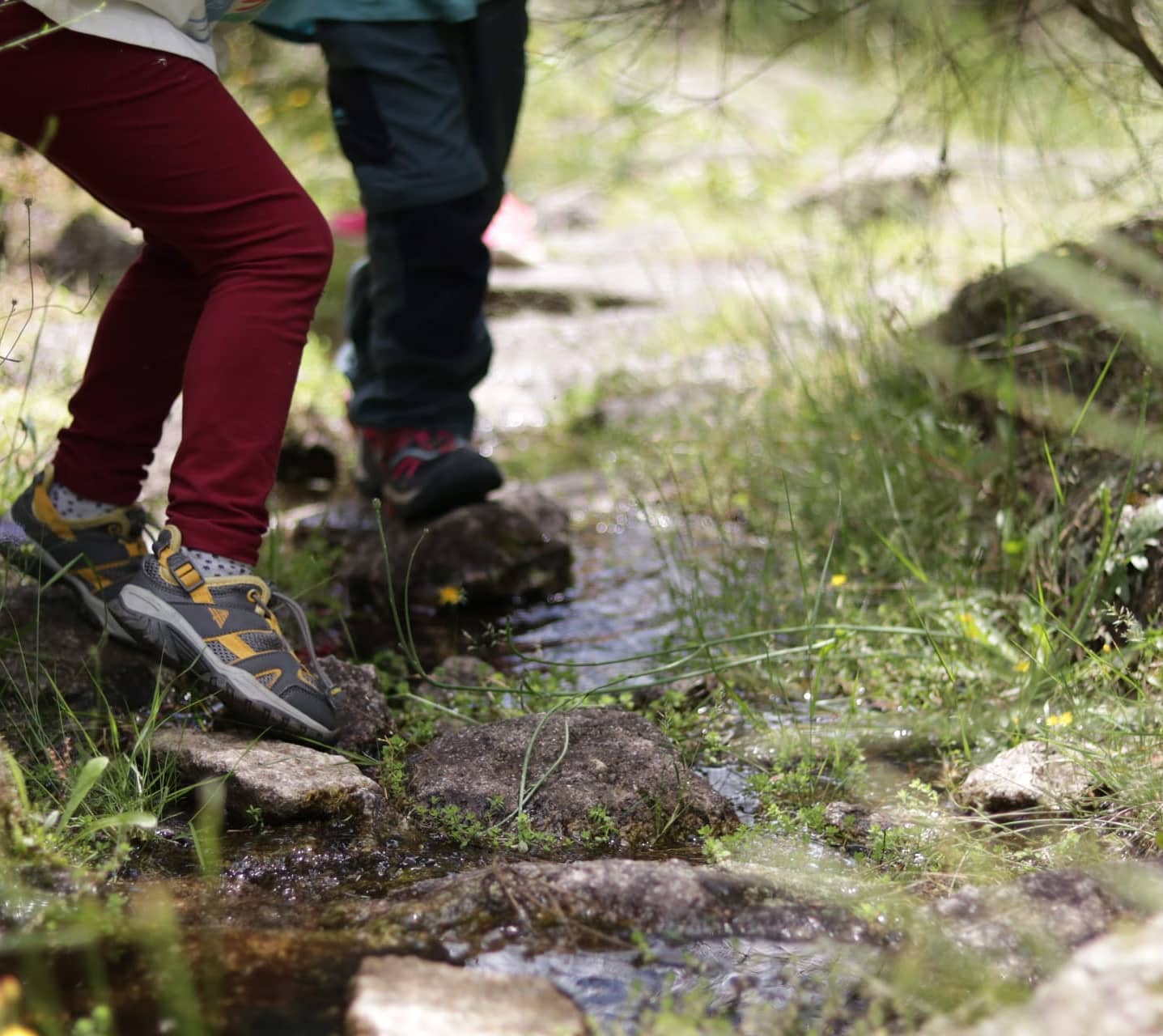 Este verão vai caminhar junto ao rio ou mergulhar numa praia fluvial? 6 dicas que tem de seguir