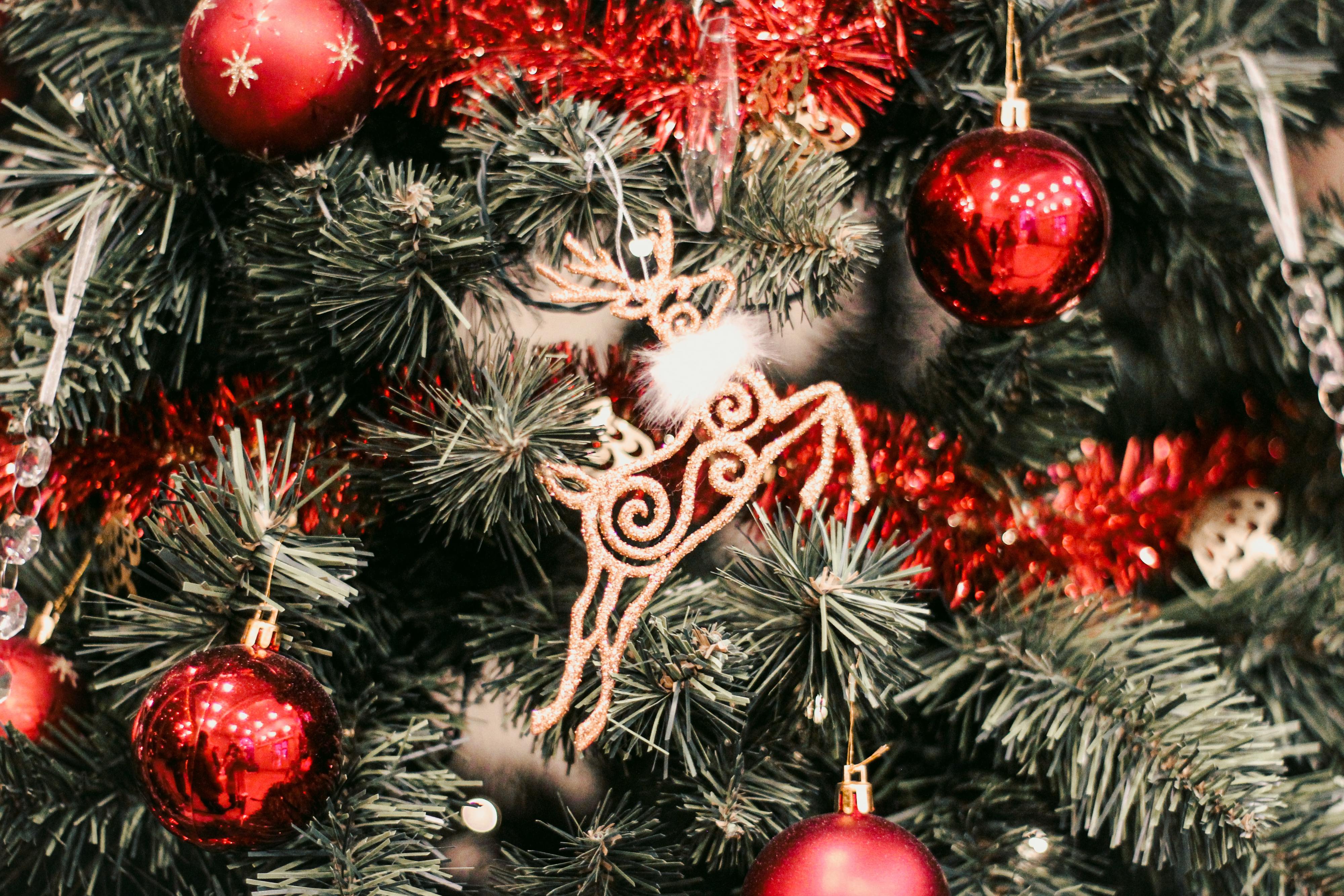 Pista de gelo, circo e samba. O mercado de Natal de Loures já abriu e tem atividades para todos os gostos