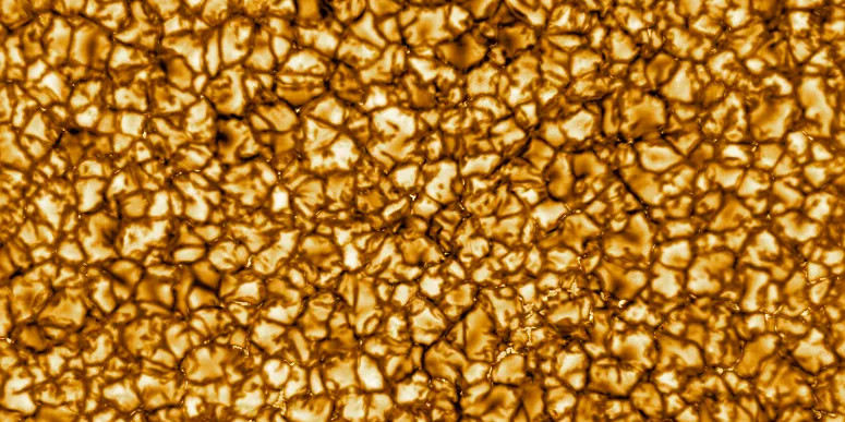 Ficou maluco com a máquina do Aldi? 18 artigos para treinar em força no conforto de casa