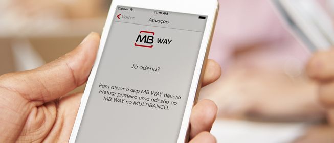 África do Sul. A incrível história de uma reserva que está a salvar vidas (dos animais e das pessoas)