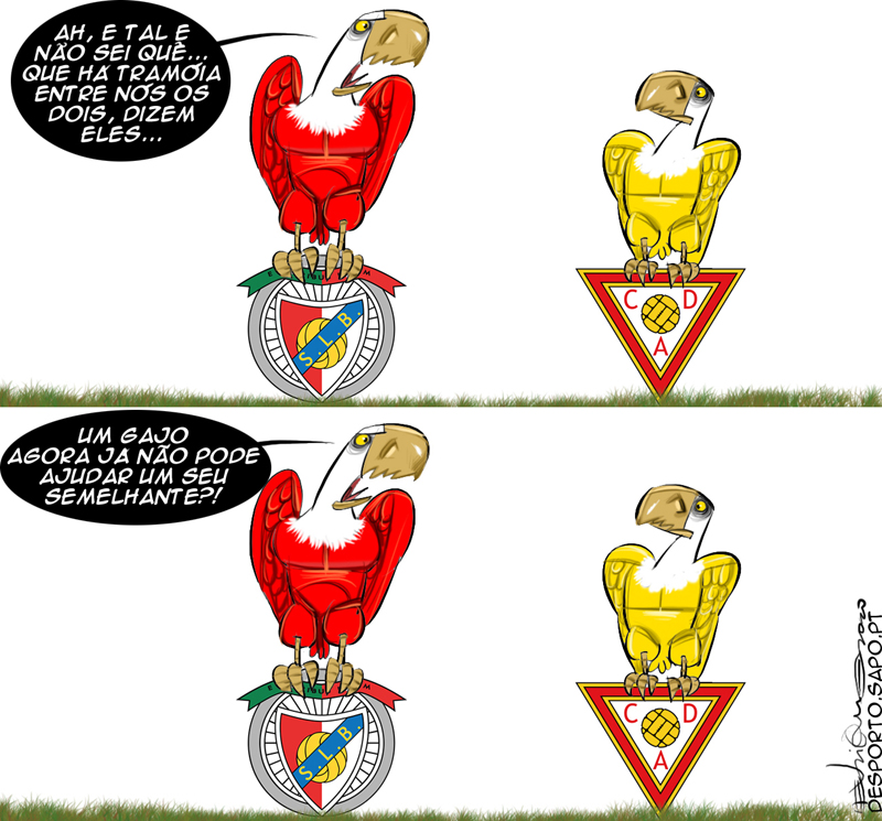 O altruismo das aves