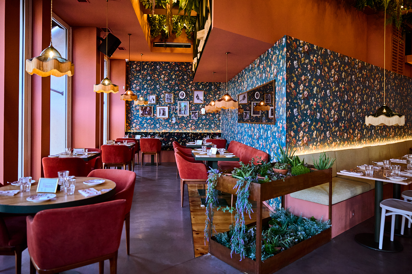 Sophia. O restaurante mais instagramável da cidade tem um menu de almoço completo por 14€