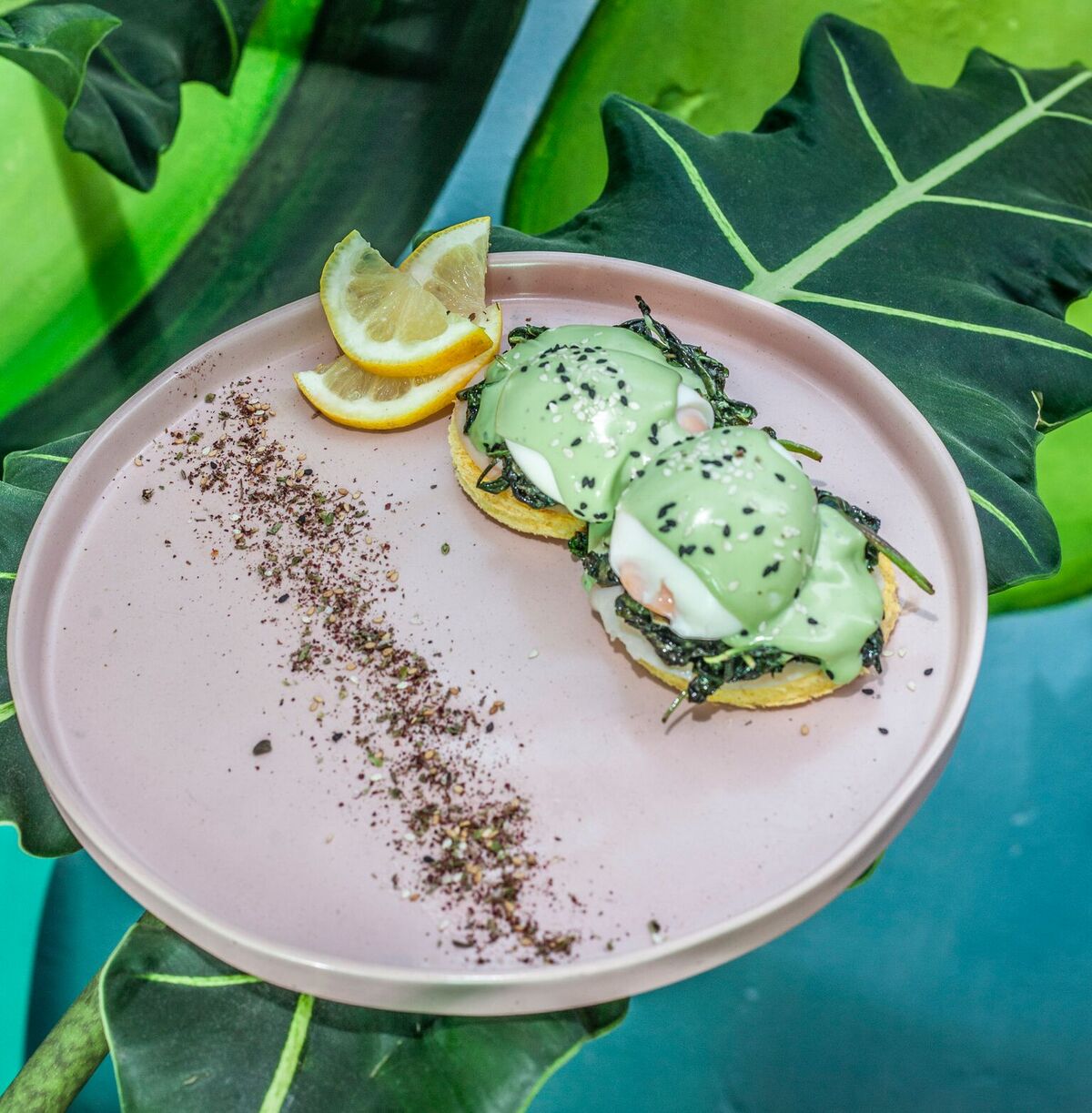 Cheesecake, panquecas, tártaros e tostas. Aqui tudo é feito com abacate